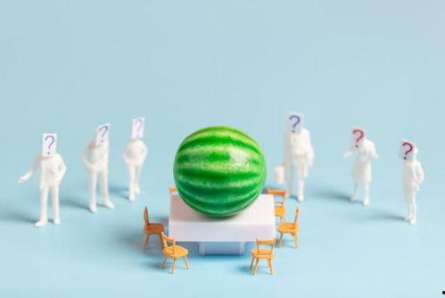 娱乐圈吃瓜爆料 汇总,揭秘明星背后的故事与真相